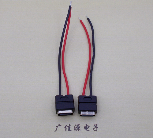 白云type c2p防水母座焊线式带线注塑成型带接线端子/不带接线端子充电连接器