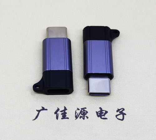 白云Type-C母转Type-C公 USB3.1 PD100W快冲接口